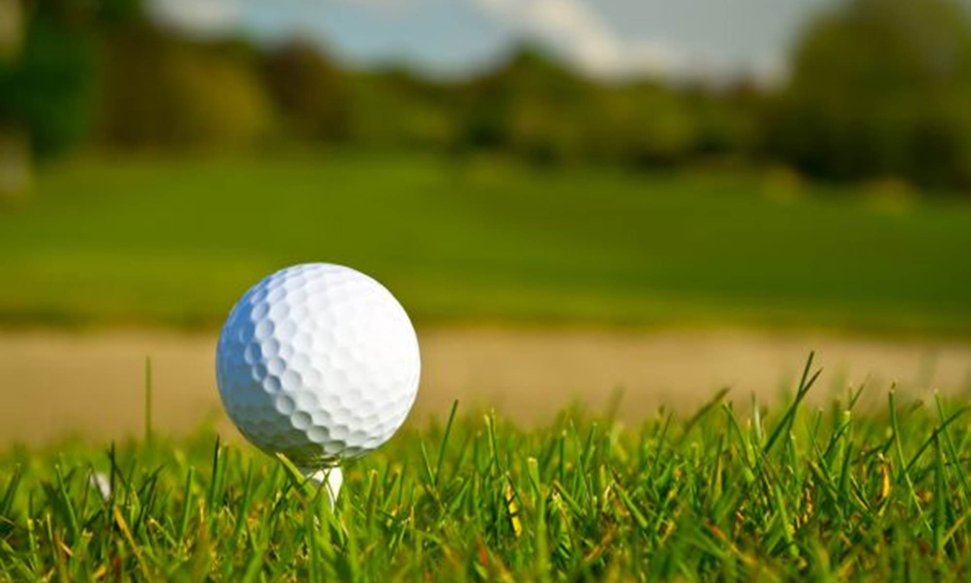 A 15 mn du Domaine de Louveraude: le beau parcours de golf 18 trous du Golf de la Jonchère